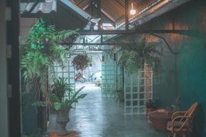 Galeriebild der Unterkunft Baannokhook Home&Cafe in Surat Thani