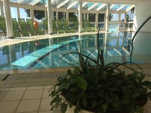 Basen w obiekcie THERMEN - APARTMENT BIODORF Bad Waltersdorf lub w pobliżu