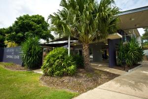 a palm tree in front of a building at Rocklea International Motel in Brisbane