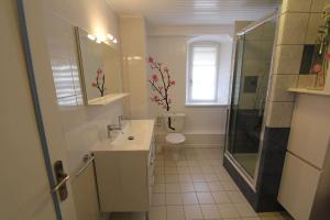a bathroom with a shower and a sink and a toilet at Gîte L Écrin - Cœur de Riquewihr - 4 personnes in Riquewihr