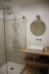a bathroom with a sink and a shower at La Ferme de Saint Christeau in Auch +41 photos
