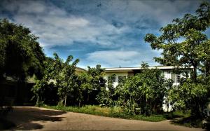 un bâtiment blanc avec des arbres devant lui dans l'établissement My Parents Guesthouse, à Kampot