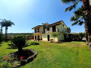a large house with a palm tree in a yard at Villa Antonella in Carlentini