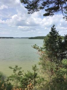 Przyroda w pobliżu tego apartamentu