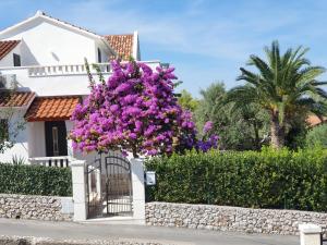 Zahrada ubytování Holiday Home Brac