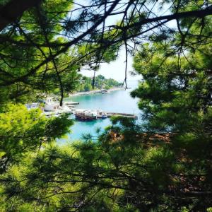 Φωτογραφία από το άλμπουμ του Villa Luka σε Brela +80 φωτογραφίες