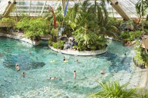a group of people in a swimming pool in a building at Vakantiewoning Seaewald in Zeewolde