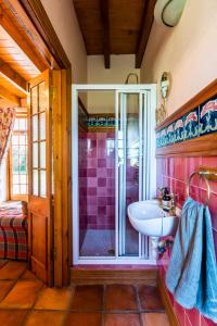a bathroom with a sink and a shower at Die Wasbak in Greyton