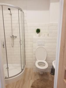 a bathroom with a toilet and a glass shower at Apartament przy plaży in Mikołajki