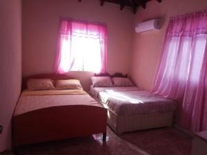 two beds in a room with pink curtains and a window at Nicolodge Apartments in Christ Church