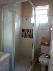 a bathroom with a shower with a toilet and a sink at Nicolodge Apartments in Christ Church