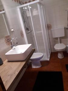 a bathroom with a sink and a toilet and a shower at residence bungalow-Marmore in Folgarida