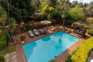 an overhead view of a swimming pool in a garden at 5th Avenue Gooseberry Guest House in Johannesburg
