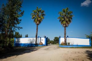 two palm trees in front of a blue and white fence at Monte do Lago, Pegões in Pegões