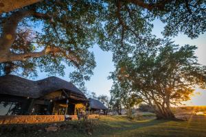 a building with a black roof and some trees at Maninghi Lodge in Balule Game Reserve
