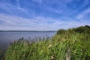 a large body of water with grass and weeds at Romantik Hotel Jagdhaus Eiden am See in Bad Zwischenahn