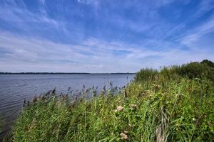 ein großer Wasserkörper mit Gras und Unkraut in der Unterkunft Romantik Hotel Jagdhaus Eiden am See in Bad Zwischenahn