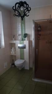 een badkamer met een toilet en een douche met een kroonluchter bij pokoje Łagodzińska in Gorzów Wielkopolski