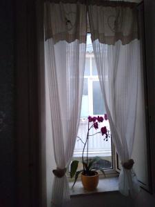 Fotografija v galeriji nastanitve Una Scala Dal Centro v mestu Agrigento