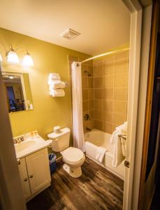 Vannituba majutusasutuses Alpine Inn & Suites