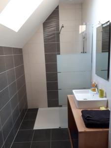 a bathroom with a sink and a shower at Gîte De La Ferme in Gundolsheim