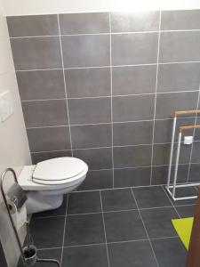 a bathroom with a toilet and a tile wall at Gîte De La Ferme in Gundolsheim
