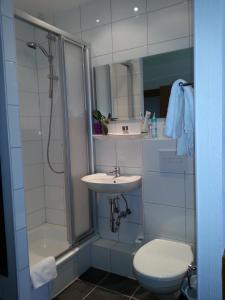 a bathroom with a shower and a toilet and a sink at Hotel Koch Maingau in Obertshausen