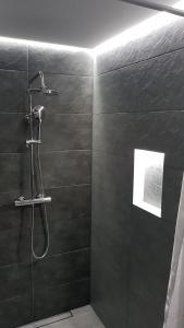 Koupelna v ubytování Éva Apartman