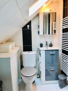 a bathroom with a toilet and a sink at Le boudoir du lac in Annecy