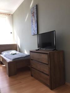 a bedroom with a tv and a dresser with a bed at Apartmán na náměstí in Soběslav