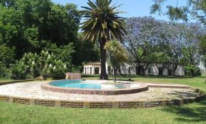 a small pool in a circle with a palm tree at Haras L'Etalon in Pergamino