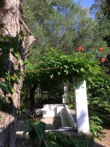 um banco branco com flores ao lado de uma árvore em Alexandra villas em Gouvia