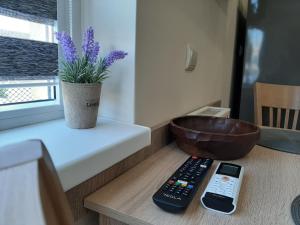 TV a/nebo společenská místnost v ubytování Apartment RELAX