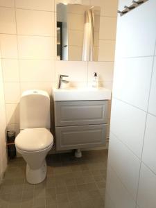 Hytten Skanör tesisinde bir banyo