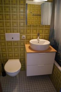 une salle de bains avec toilettes et lavabo dans l'établissement Ferienwohnung Schwarzwaldlust, à Schluchsee 21 autres photos