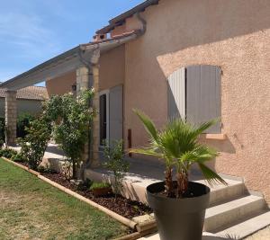 uma casa com um vaso de plantas em frente em La Matriola em Cabannes