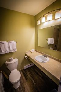 Vannituba majutusasutuses Alpine Inn & Suites