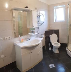 a bathroom with a sink and a toilet and a mirror at Apartment Anita in Fažana
