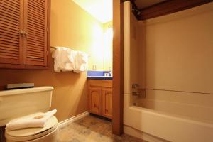 ein Badezimmer mit Toilette, Badewanne und Waschbecken in der Unterkunft Rainbow Suites by Whistler Retreats in Whistler