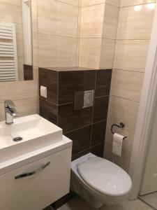 a bathroom with a white toilet and a sink at Domek na Jasnej in Muszyna +29 photos