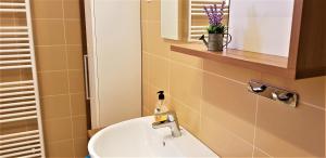 a bathroom with a sink and a mirror at Mountain peaks Apartment with Sauna in Gozd Martuljek