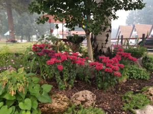 Gallery image of Aspen Inn in Fort Klamath