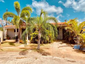 a palm tree in front of a house at Atenas City Inn in Manati