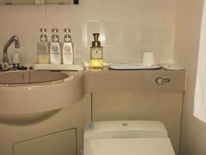 un bagno con gabinetto, lavandino e bottiglie di alcolici di Hotel Ikeda a Nagasaki