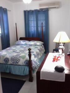 a bedroom with a bed with blue curtains and a table at Gillys Dream in Nassau