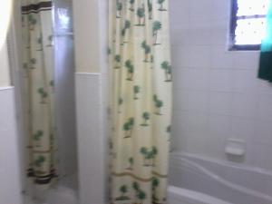 baño con cortina de ducha y bañera en Gillys Dream, en Nassau