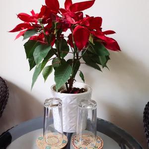 a vase with red flowers on a table with two glasses at Forget Me Not Hotel in Nha Trang