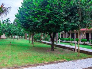 Chitwan Riverside Resort外面的花园