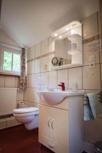 a bathroom with a sink and a toilet at Villa Louisental - Gruppenunterkunft für Selbstversorger in Le Hohwald +39 photos