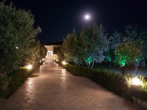 Una pasarela iluminada por la noche con luces en Gaia Studios & Apartments, en Nea Plagia